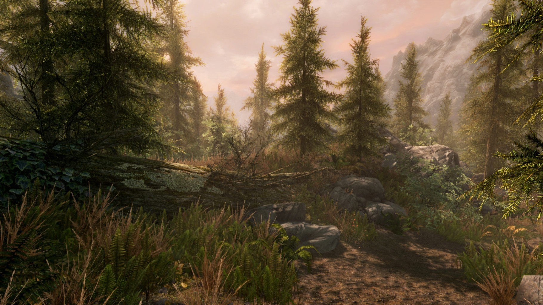 Screenshot for the game The Elder Scrolls V: Skyrim Anniversary Edition PC