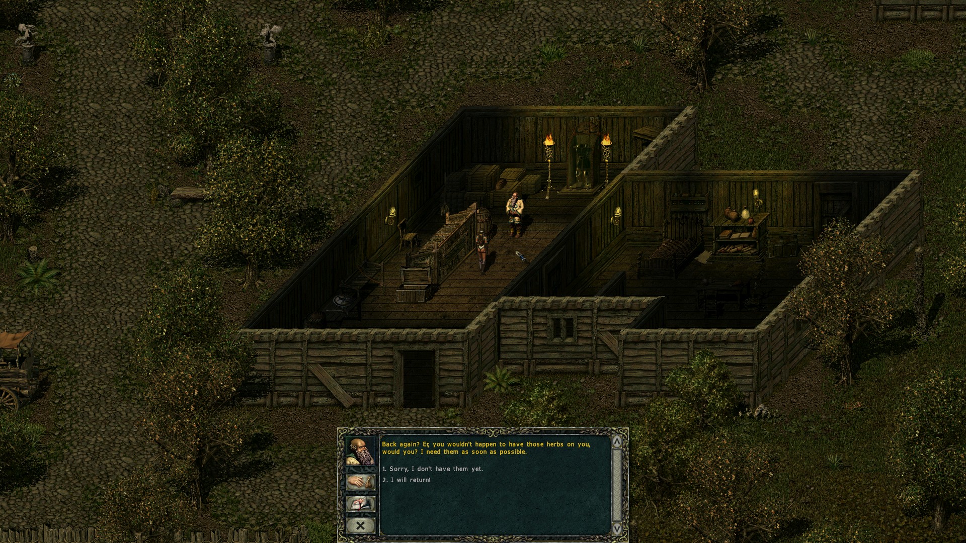 Screenshot for the game Divine Divinity (2002) PC | RePack от R.G. Механики