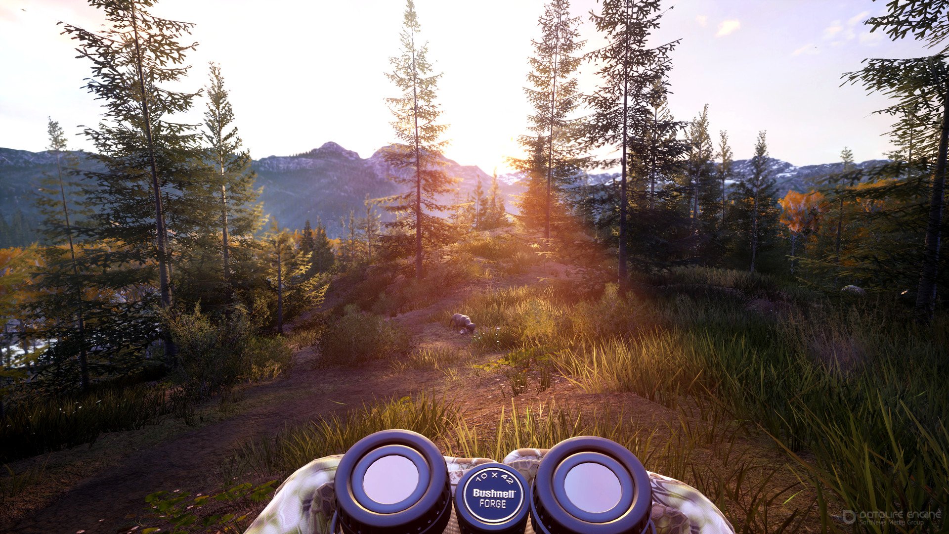 Screenshot for the game Hunting Simulator 2-Bear Hunter Edition [v 1.0.0.182.64713+DLC] (2020) download torrent RePack