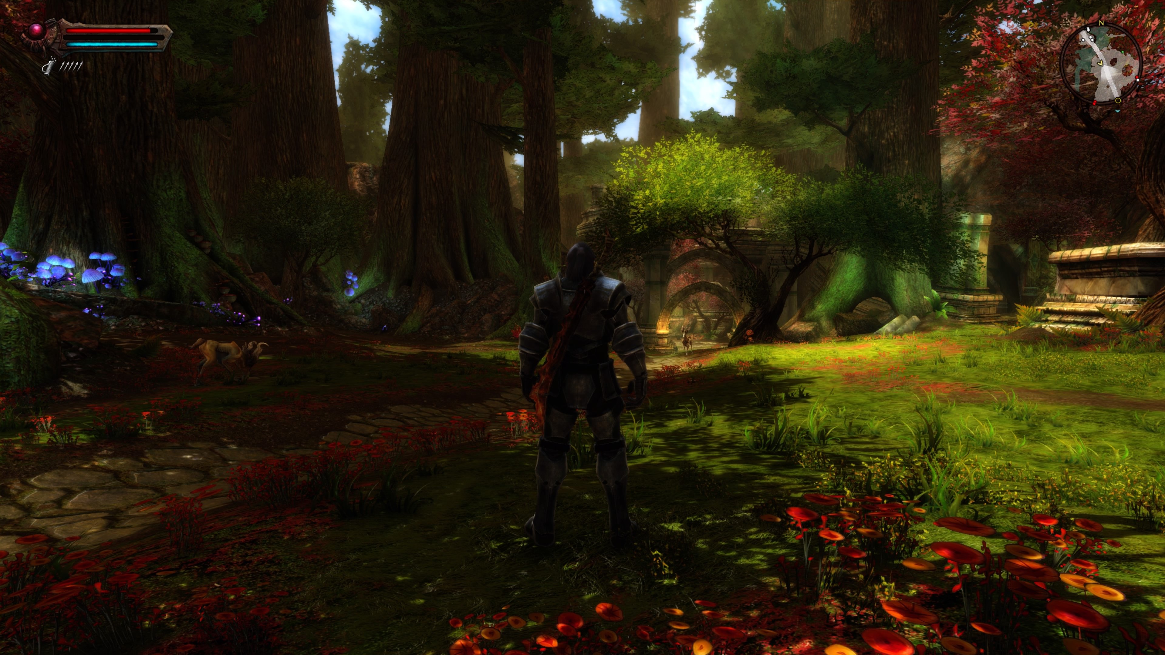 Screenshot for the game Kingdoms of Amalur: Re-Reckoning