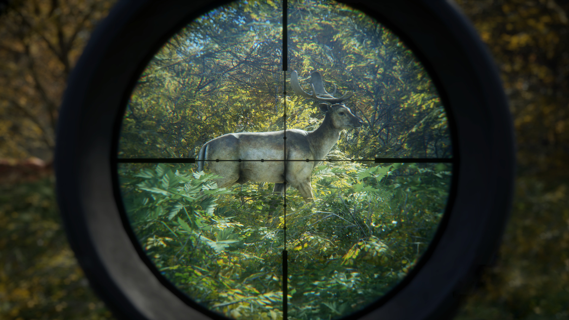 Screenshot for the game TheHunter: Call of the Wild