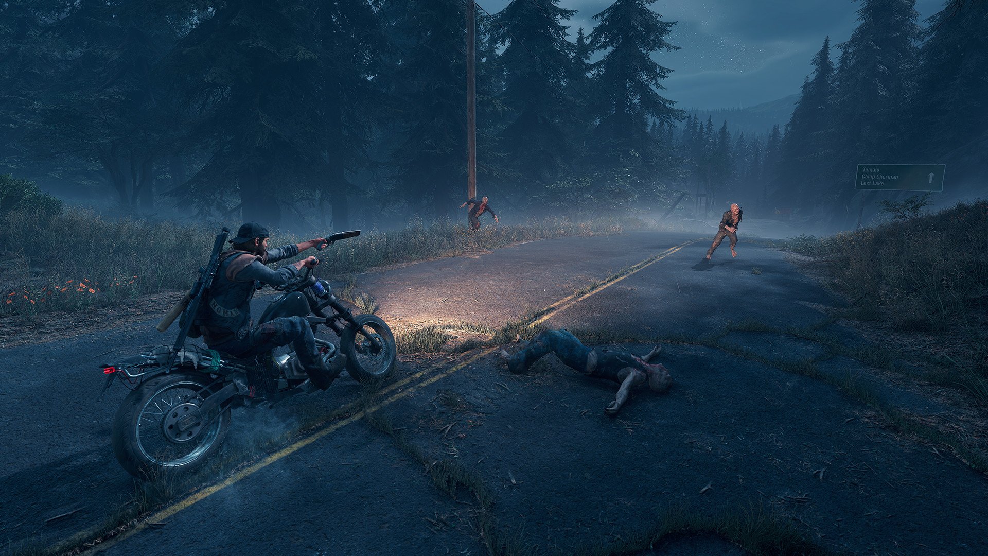 Screenshot for the game Days Gone