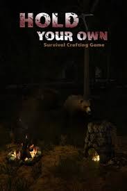 Poster Hold Your Own (2017)