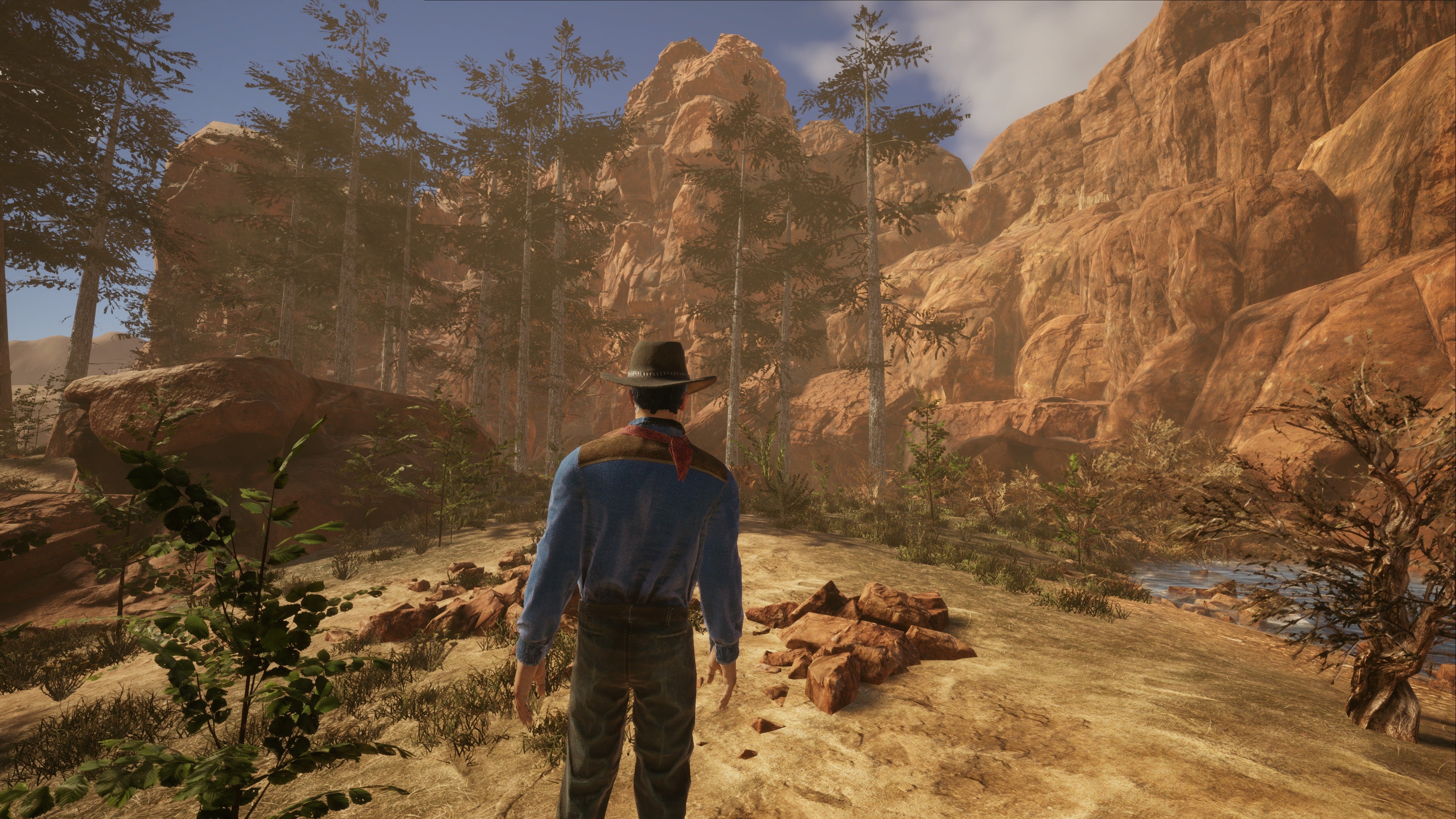 Screenshot for the game Wild West Dynasty